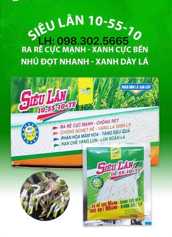 Hộp (50 gói) Siêu lân xanh kích thích ra rễ và phân hóa mầm hoa 10-55-10+ TE 15G (Phân bón Ra Rễ Nhú Đọt Xanh Dày lá)