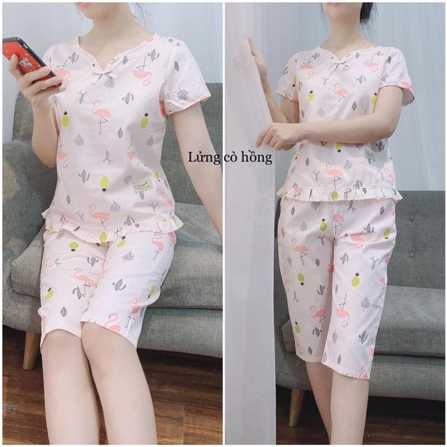 Bộ đồ ngố cộc tay