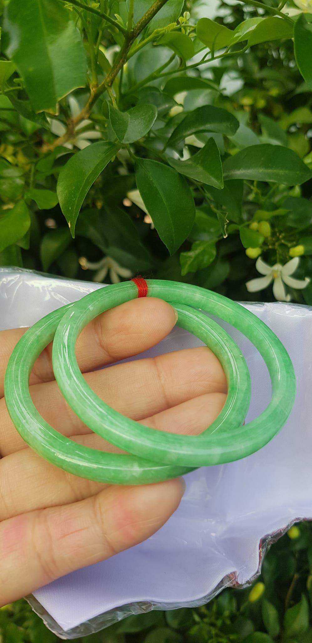 ️Cặp vòng tay đá ngọc cẩm thạch bản vuông V Đậu 50mm Size vòng 50mm x dầy 5mm x bản mỏng cao 5mm màu xanh lá ngọc đậu đều bóng đẹp Nữ Mệnh Mộc Hoả Thủy 49kg - 53kg đeo ạ
