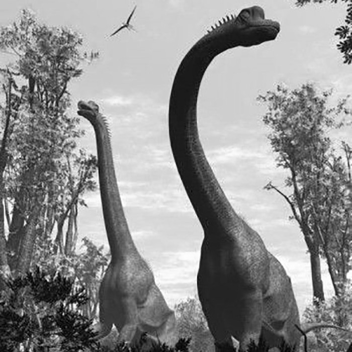 Đồ Chơi Khủng Long Cổ Dài Brachiosaurus Bằng Nhựa. Loài Khủng Long Ăn Cỏ. Trang Trí Thêm Cho Bộ Sưu Tập Của Bé Về Các Loài Động Vật Thời Tiền Sử