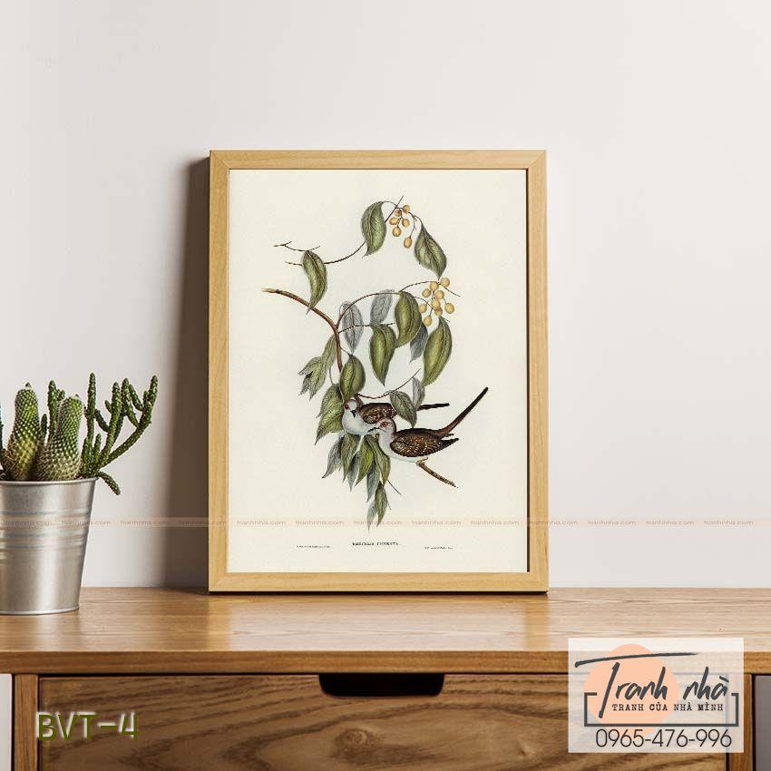 Tranh canvas vintage  - Bồ câu (Geopelia cuneata) - BVT-4