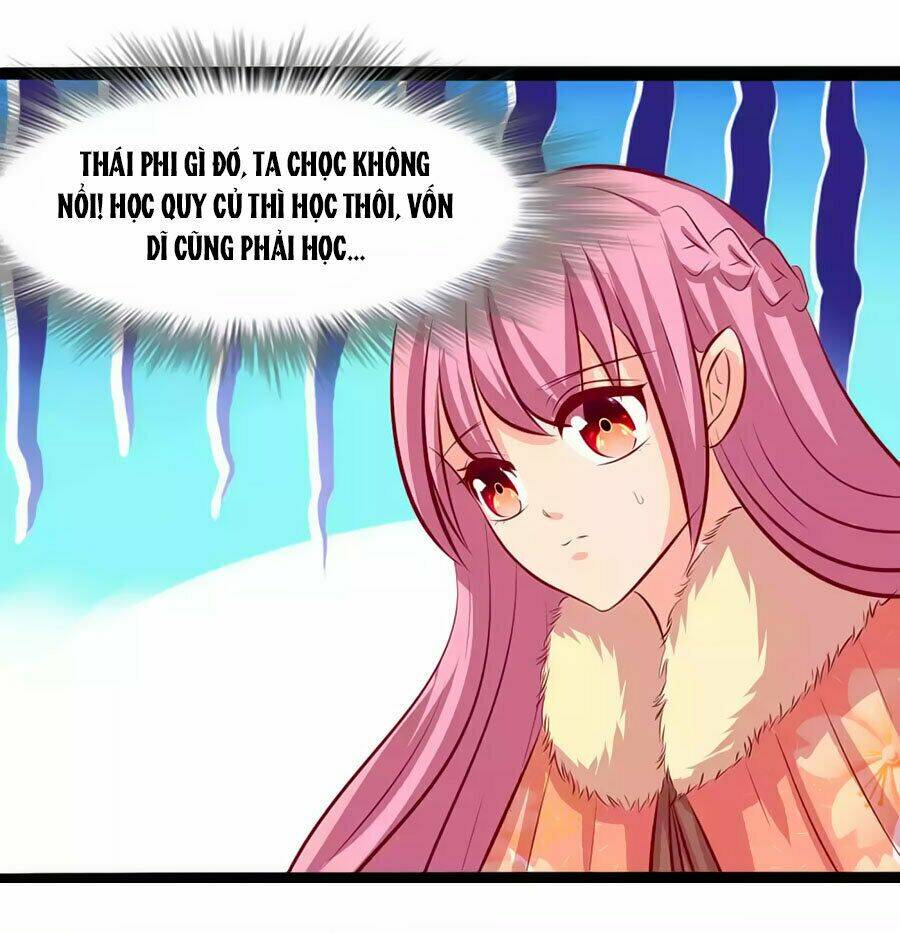 thỏ yêu tiểu vương phi chapter 68 10