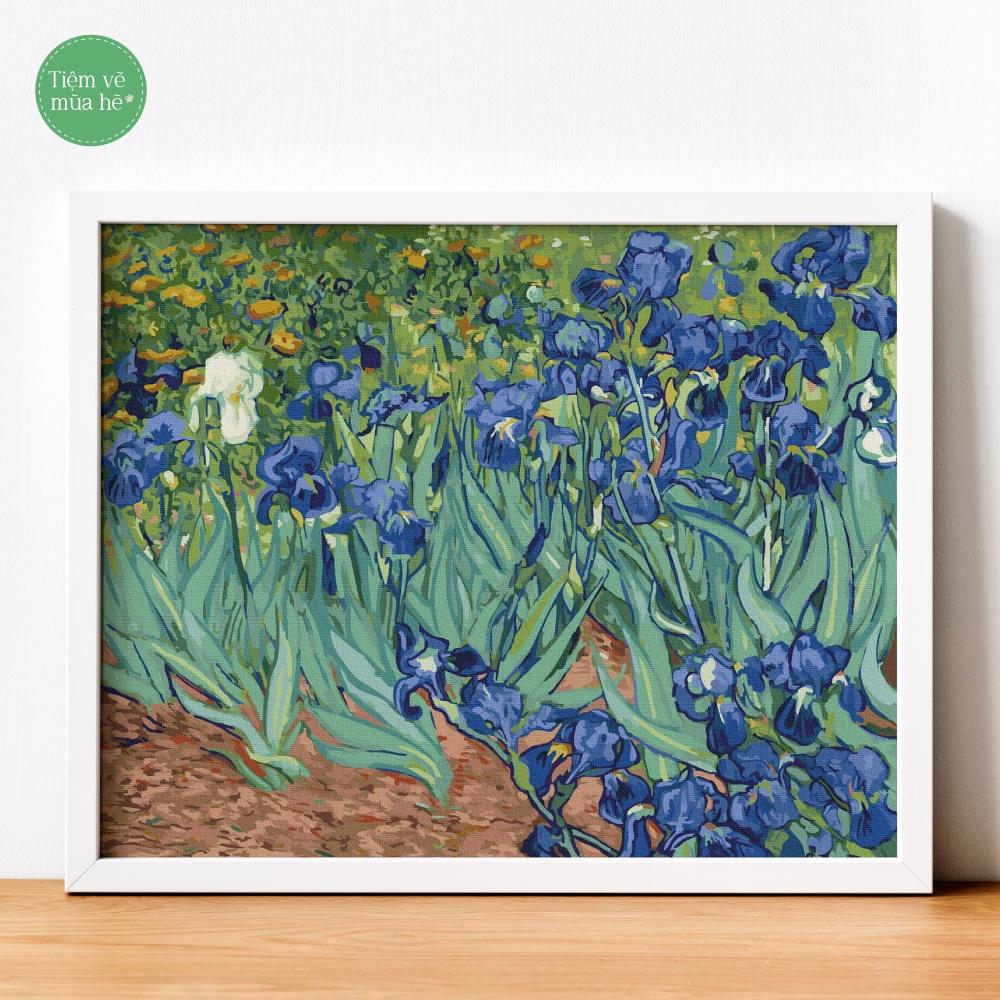 Tranh số hóa  - Hoa diên vĩ Van Gogh đã căng khung 40x50cm 27 màu