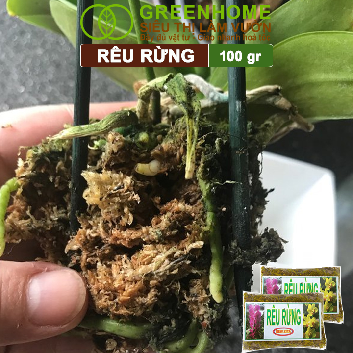 Rêu rừng Greenhome, Newzita, Gói 100gr, Đã Qua Xử Lý, Giá Thể, Giữ Ẩm Tốt, Kháng Khuẩn Tự Nhiên, Trồng Lan, Kiểng Lá