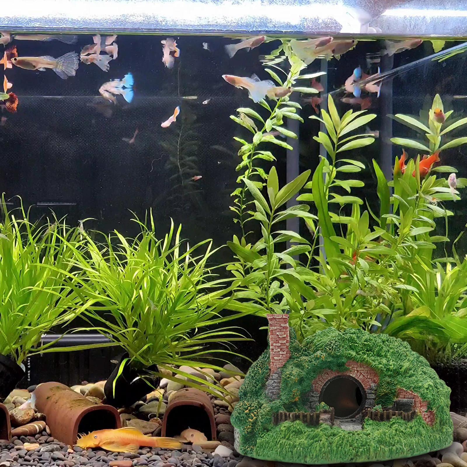 Aquarium Cave Cave Hideout for Amphibians Supplies Habitat Decor Hiding Cave
