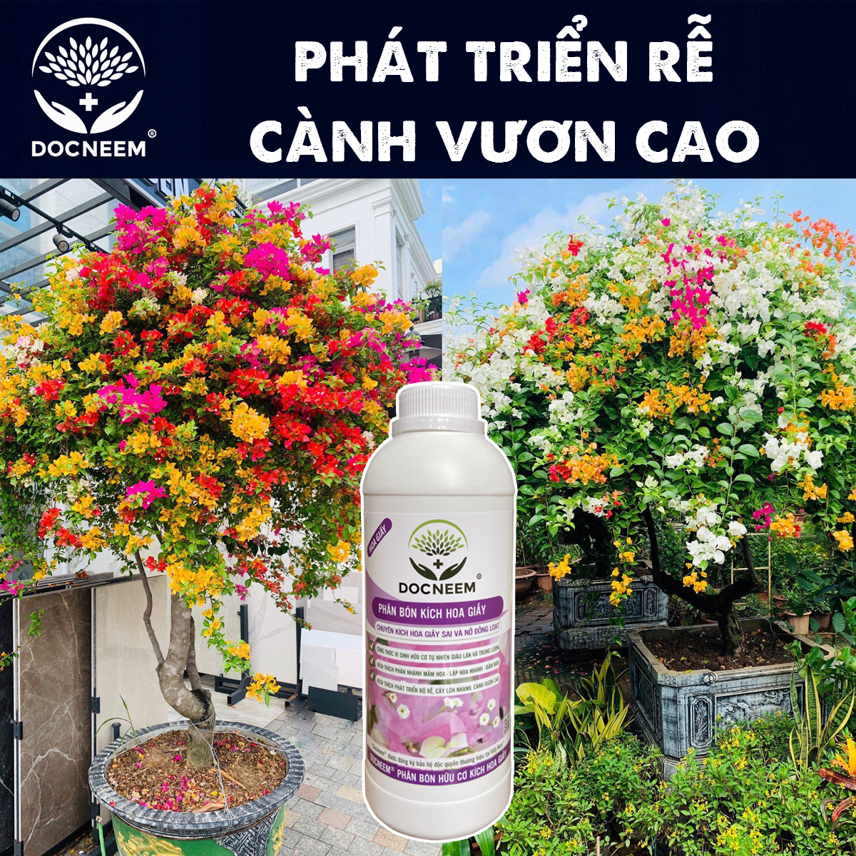 Phân bón hoa giấy DOCNEEM, kích bông giấy ngũ sắc, cẩm thạch, thái, mỹ sai hoa, lặp hoa nhanh, nở đồng loạt, chai 1 lít