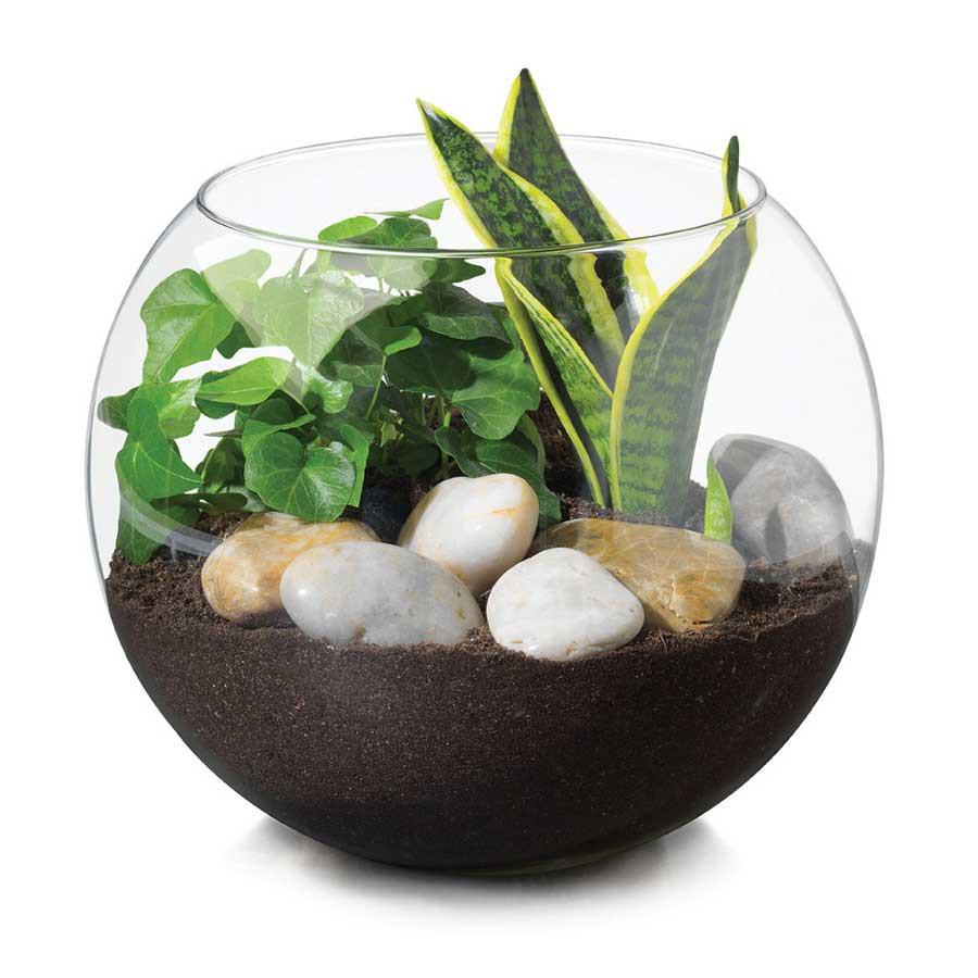 Libbey 9520153 - Bình hoa tròn ĐK 25cm