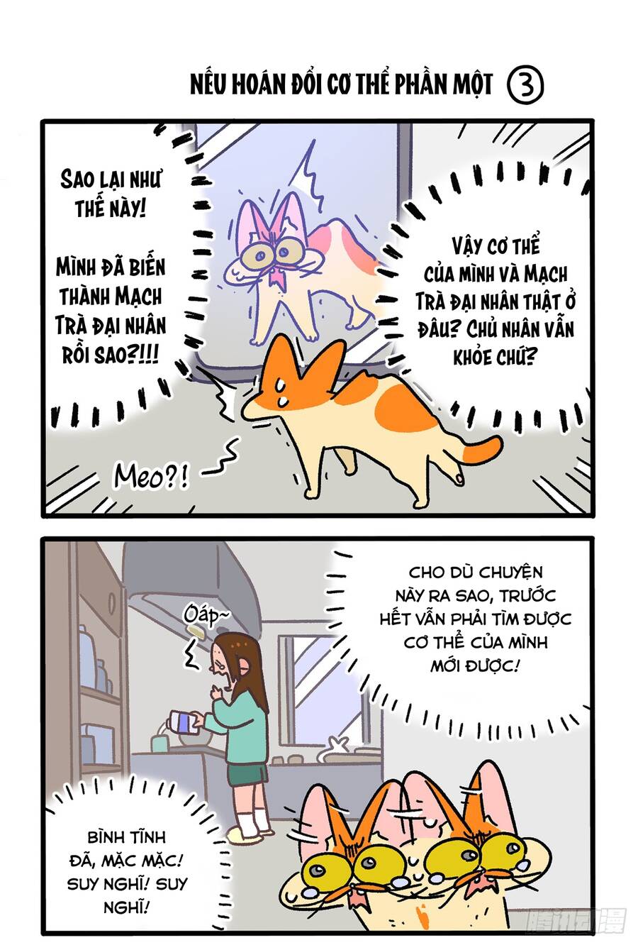 a mãn và mạch trà chapter 150 5