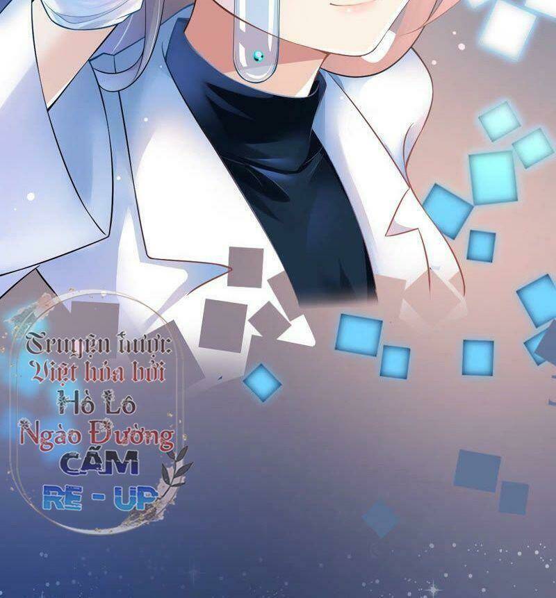 quận chúa vững vàng, thiết lập nhân vật không thể vỡ chapter 0 4