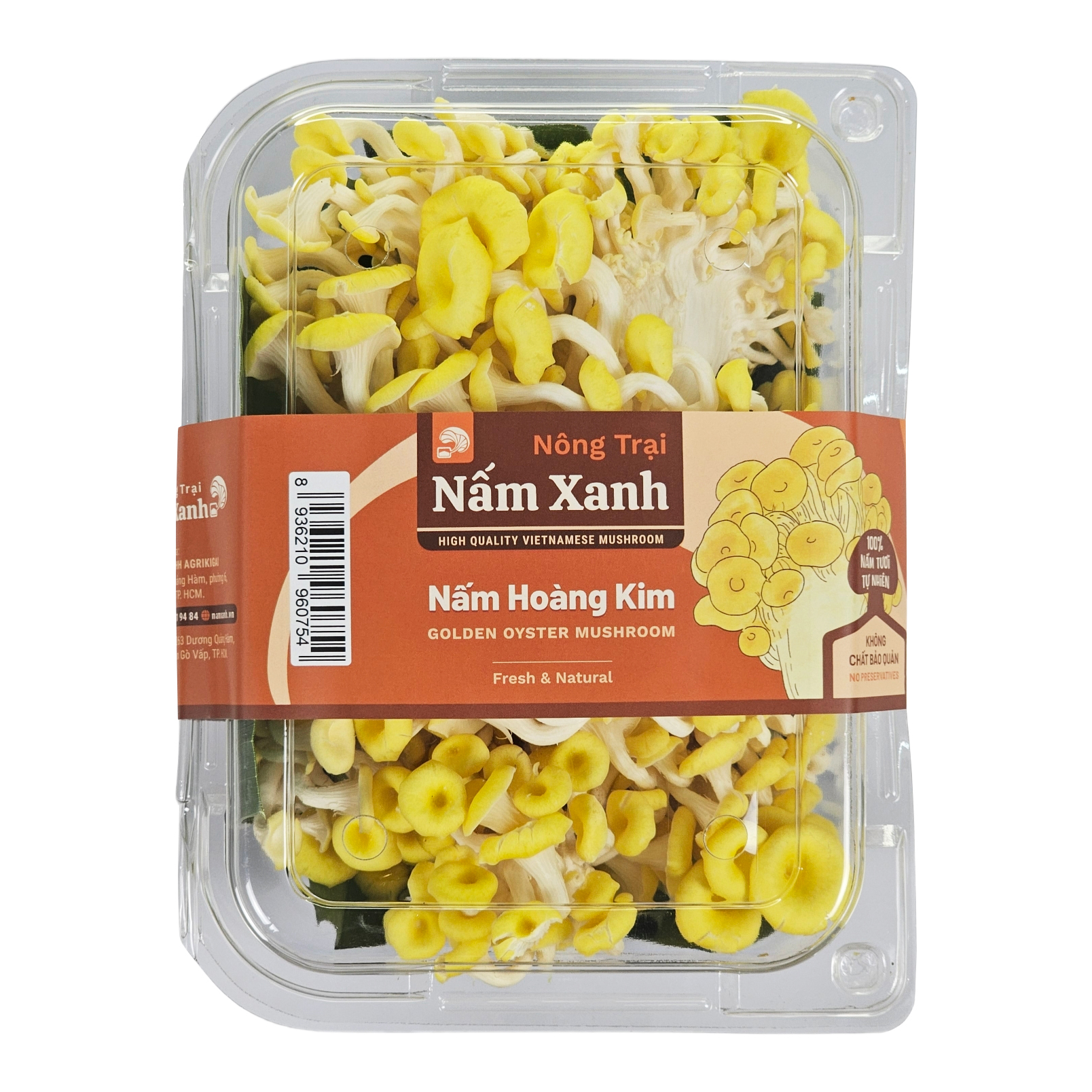 Nấm Hoàng Kim Tươi 100gr 200gr 500gr - Nông Trại Nấm Xanh