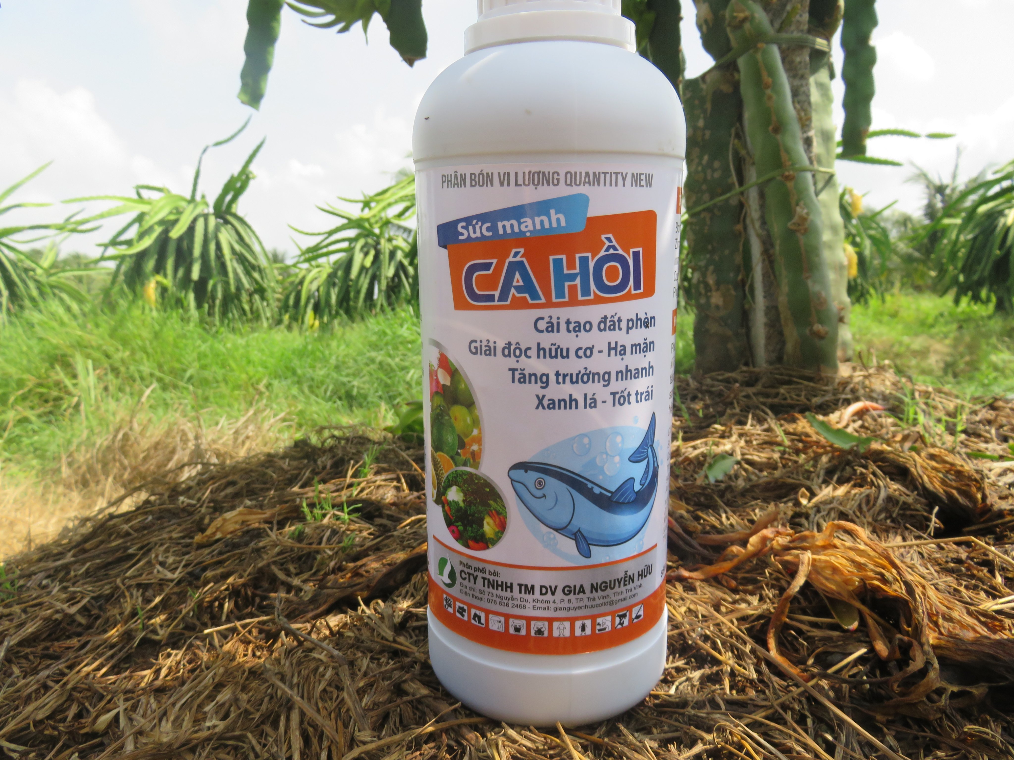 ĐẠM CÁ HỒI - DƯỠNG CÂY, XANH LÁ