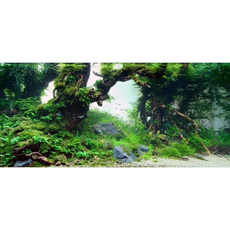 Tranh dán BỂ CÁ GIÁ RẺ. Tranh 2 mặt dán bể cá.