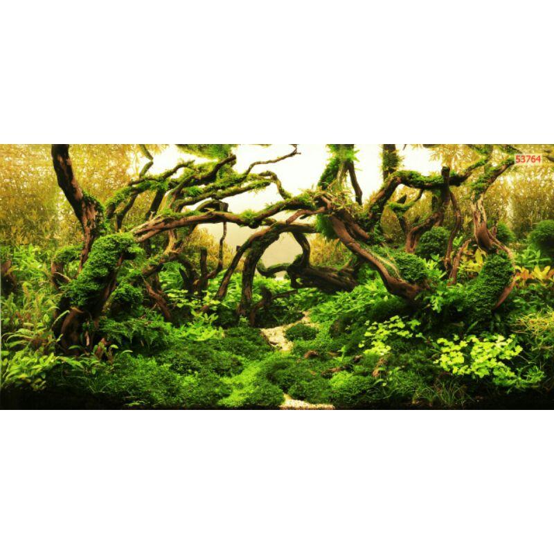 Tranh 3D dán bể cá cảnh KT 120cm*60cm có keo sẵn