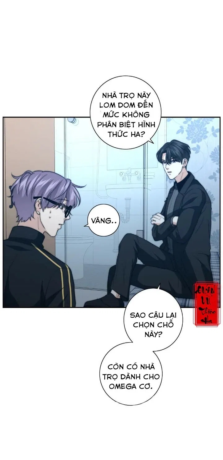 bí mật của omega k chapter 16 51