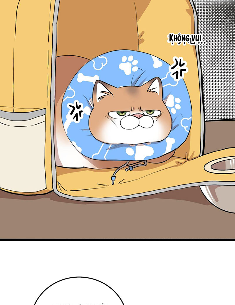 rốt cuộc bé mèo đang nghĩ gì ? chapter 14 46