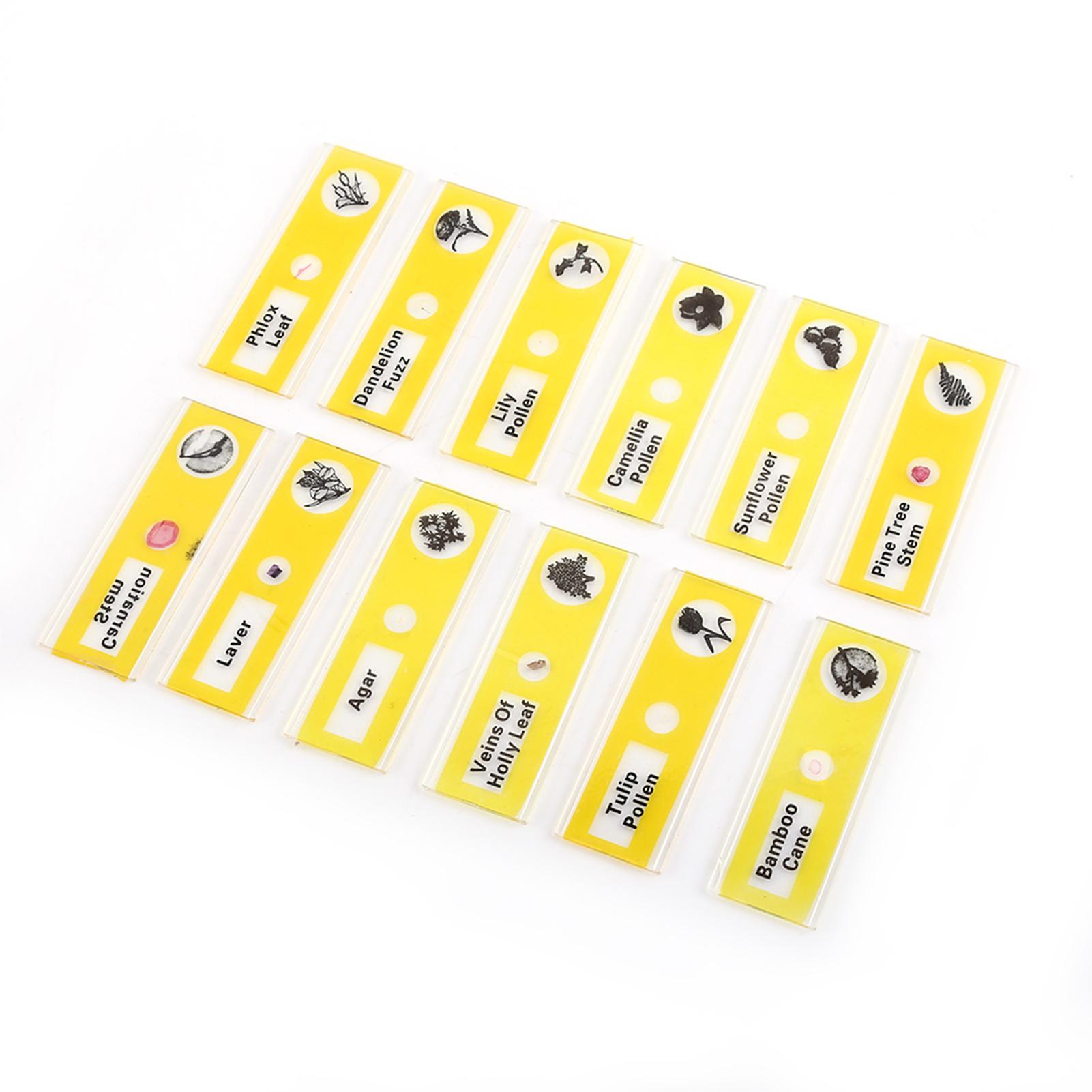 Set 48 tiêu bản mẫu thực vật và động vật cho kính hiển vi