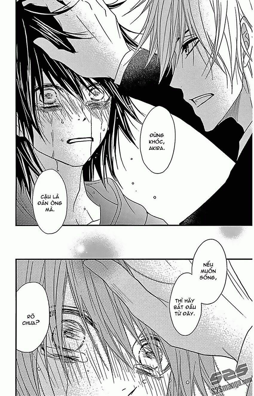 điện kích daisy chapter 74 35