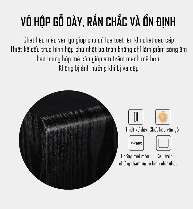 Loa Siêu Trầm Tích Hợp Amply Điện Subwoofer Công Suất Lớn 100W SU-650D