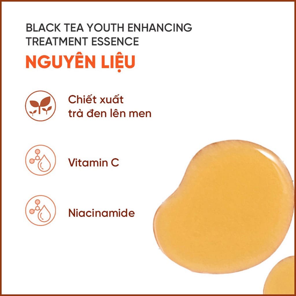 Nước dưỡng ngăn ngừa lão hóa từ trà đen innisfree Black tea Youth Enhancing Treatment Essence 75 mL (New 2023)