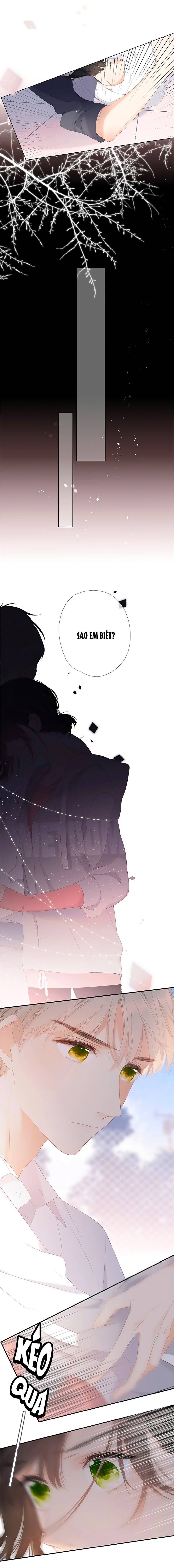 lại gặp được em chapter 5.2 8