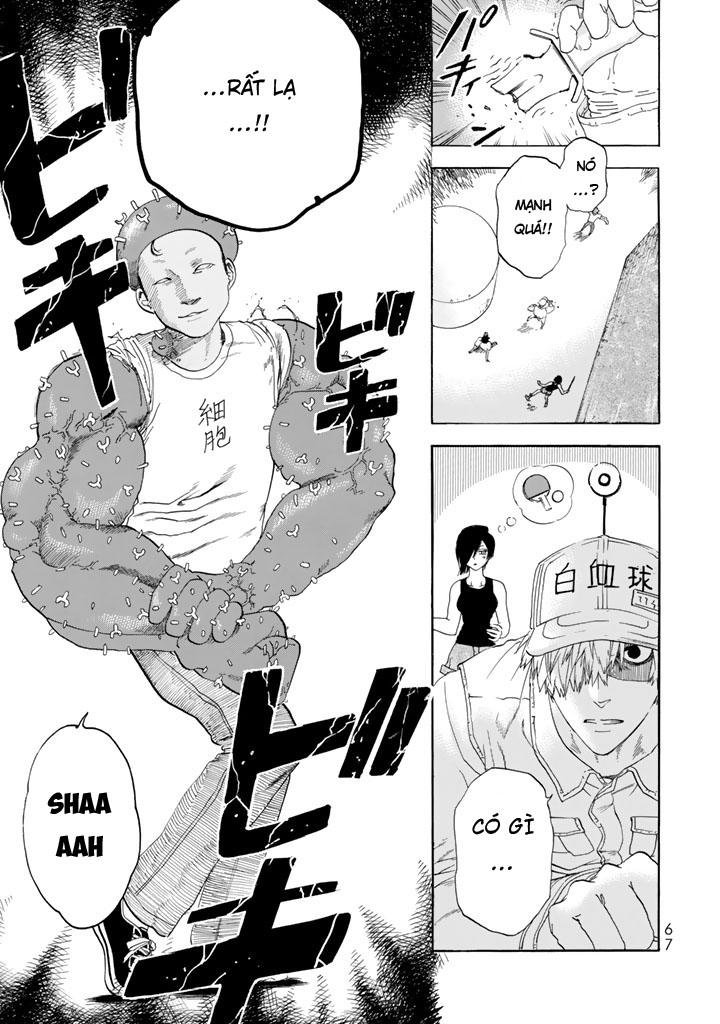hataraku saibou! chapter 21 23