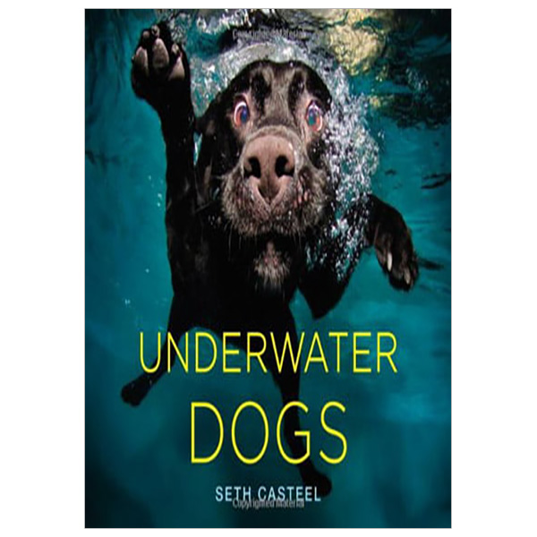 Underwater Dogs