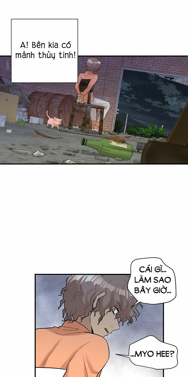 cuộc sống kỳ thú chapter 26 25