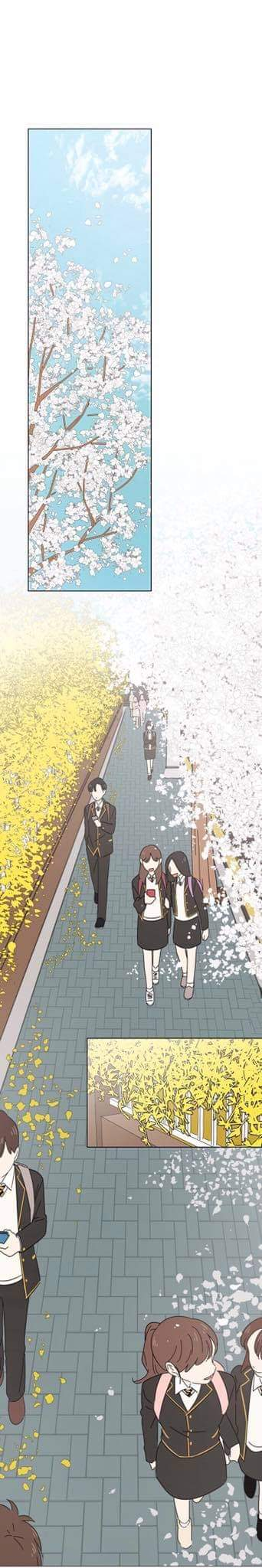 mùa hoa nở rộ chapter 1 1