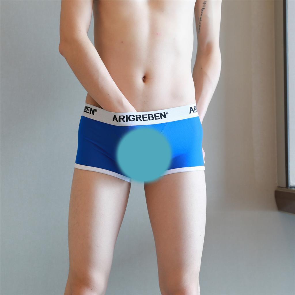 Men Mesh Underwear Thong Bikini Briefs Knickers Soft Sleepwear Swimsuit - Blue, L