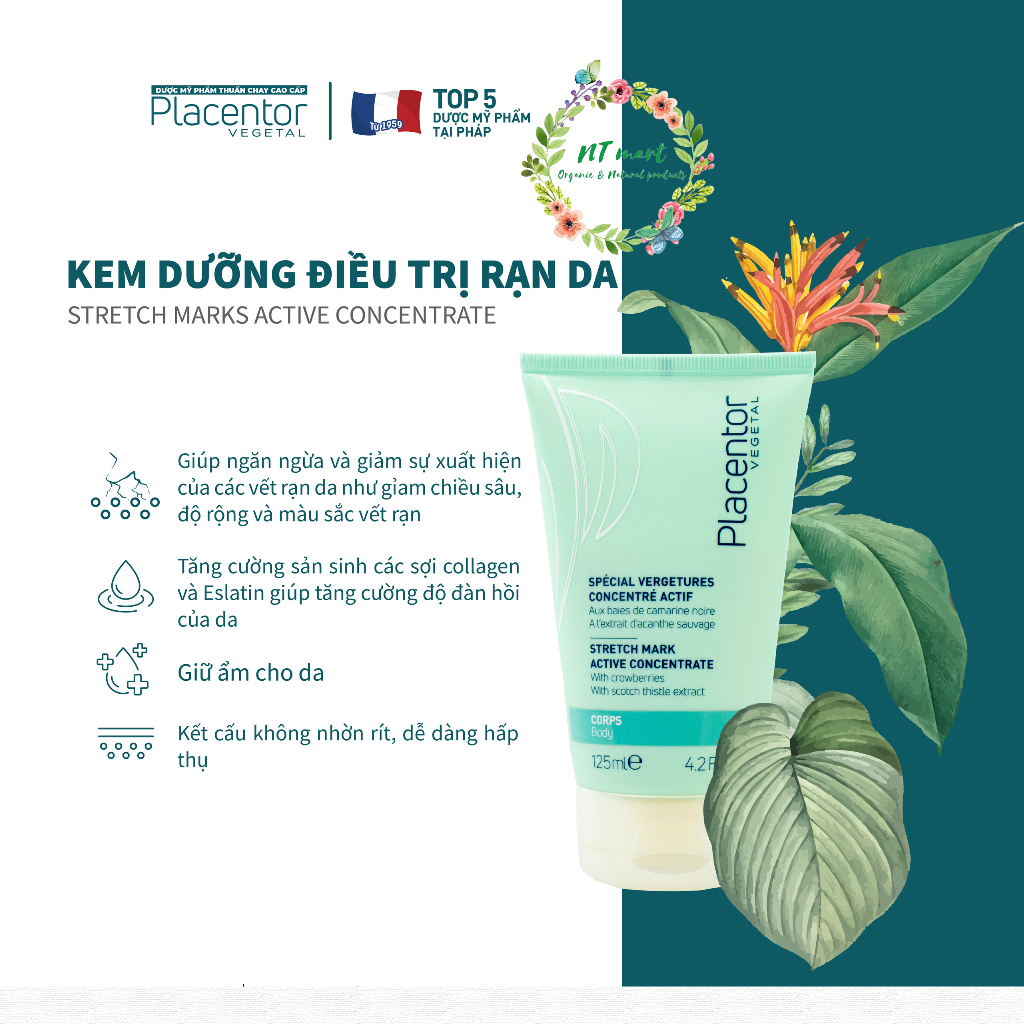 Kem Dưỡng Rạn Da Placentor Stretch Marks Active Concentrate