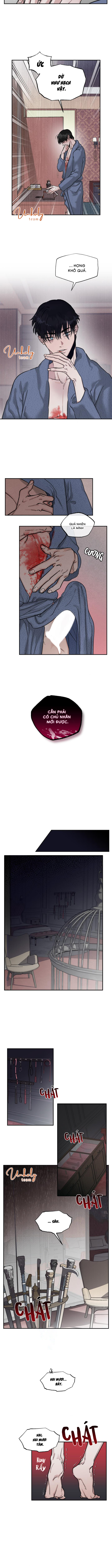 sự giả dối nhuốm máu chapter 1 7