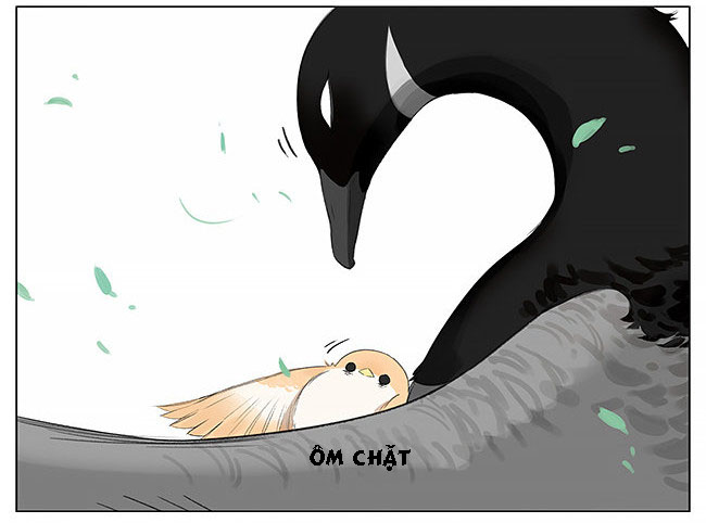 sẻ chiếu mới và nhạn phong sương chapter 7 12