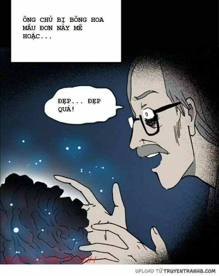 hoa mẫu đơn đen chapter 1 20