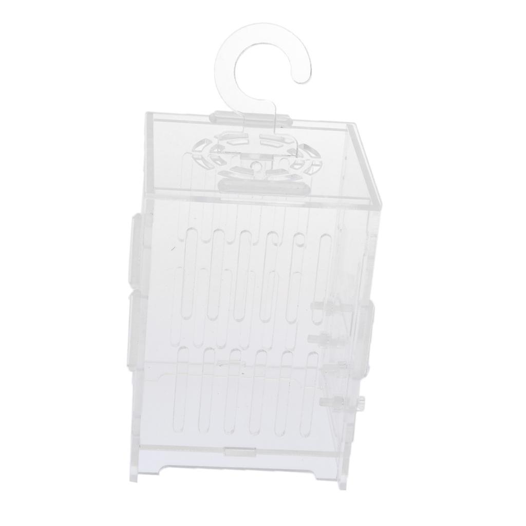 Spider Insect Cricket Tank Vivarium Cage Box Clear Acrylic Terrarium S