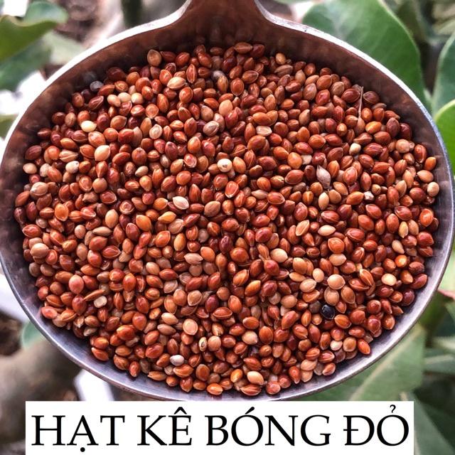 Kê đỏ thức ăn cho vẹt ,hamster, sóc, Chim Cảnh, Cu Gáy, Yến Phụng...