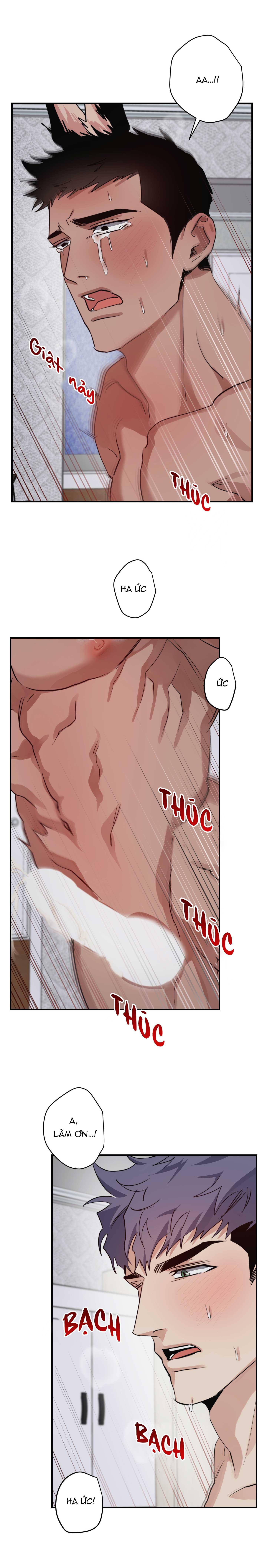 bộ sưu tập ciu to-ngực bự của nhà sẹc chapter 18 16