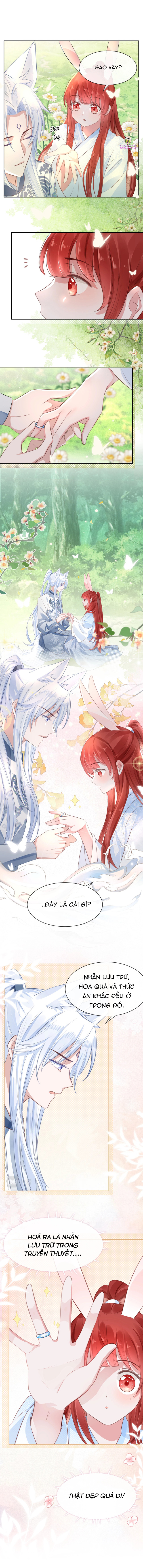 nuôi thỏ? nam chính hắc hóa rồi! chapter 15 5