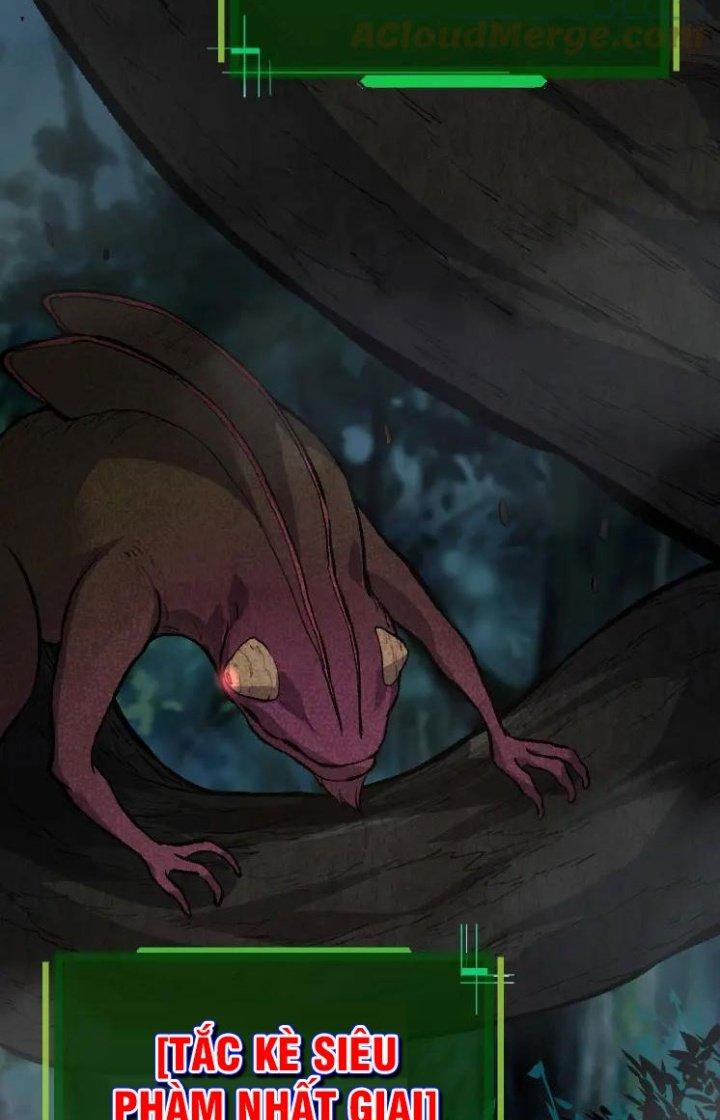 từ cây cổ thụ bắt đầu tiến hóa chapter 40 80