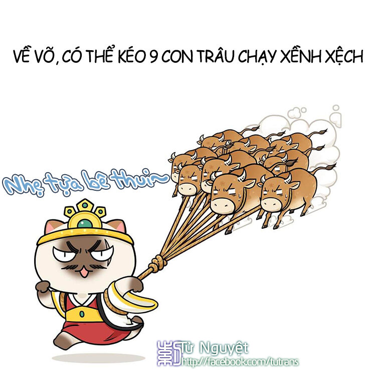 nếu lịch sử là một bầy mèo chapter 10 24