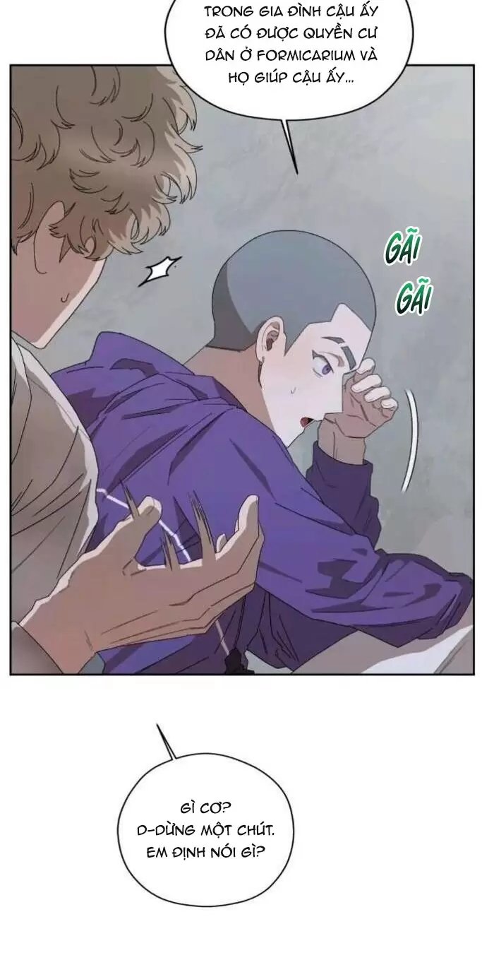 liveta chapter 34 58