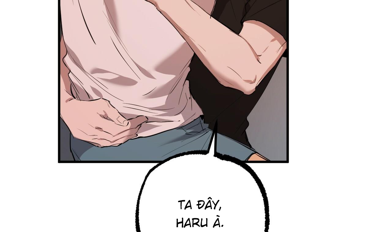 đàn thỏ của habibi chapter 51 52