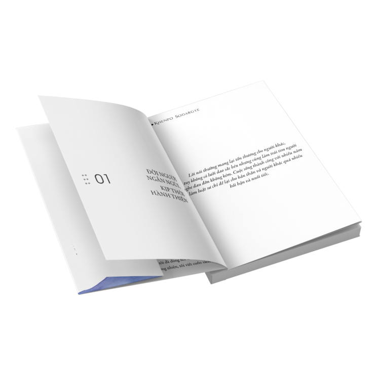 BỘ SÁCH "BẬN" - Sách Tôn Giáo, Nghệ Thuật Và Văn Hóa, Tác Giả KHENPO SODARGYE - Hiệu sách genbooks, bìa mềm, in màu