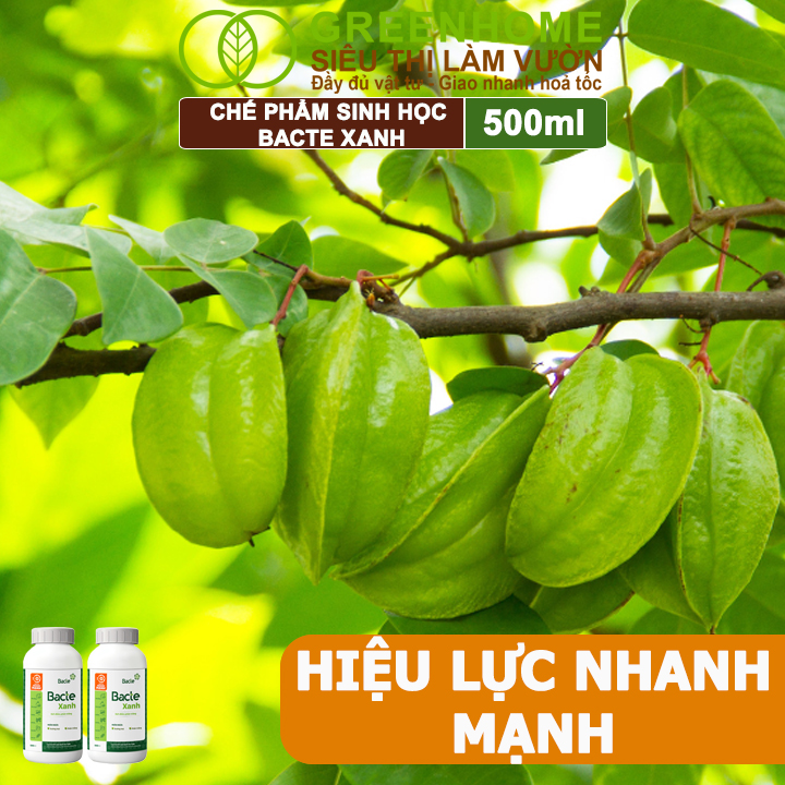 Chế Phẩm Sinh Học Bacte Xanh, Greenhome,Chai 500ml,Ngăn Ngừa Sương Mai, Phấn Trắng,Tốt Cho Cây Trồng
