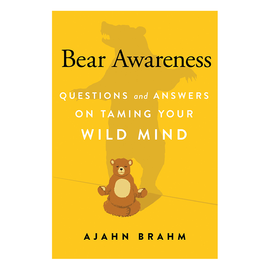 Bear Awareness : Questions And Answers On Taming Your Wild Mind