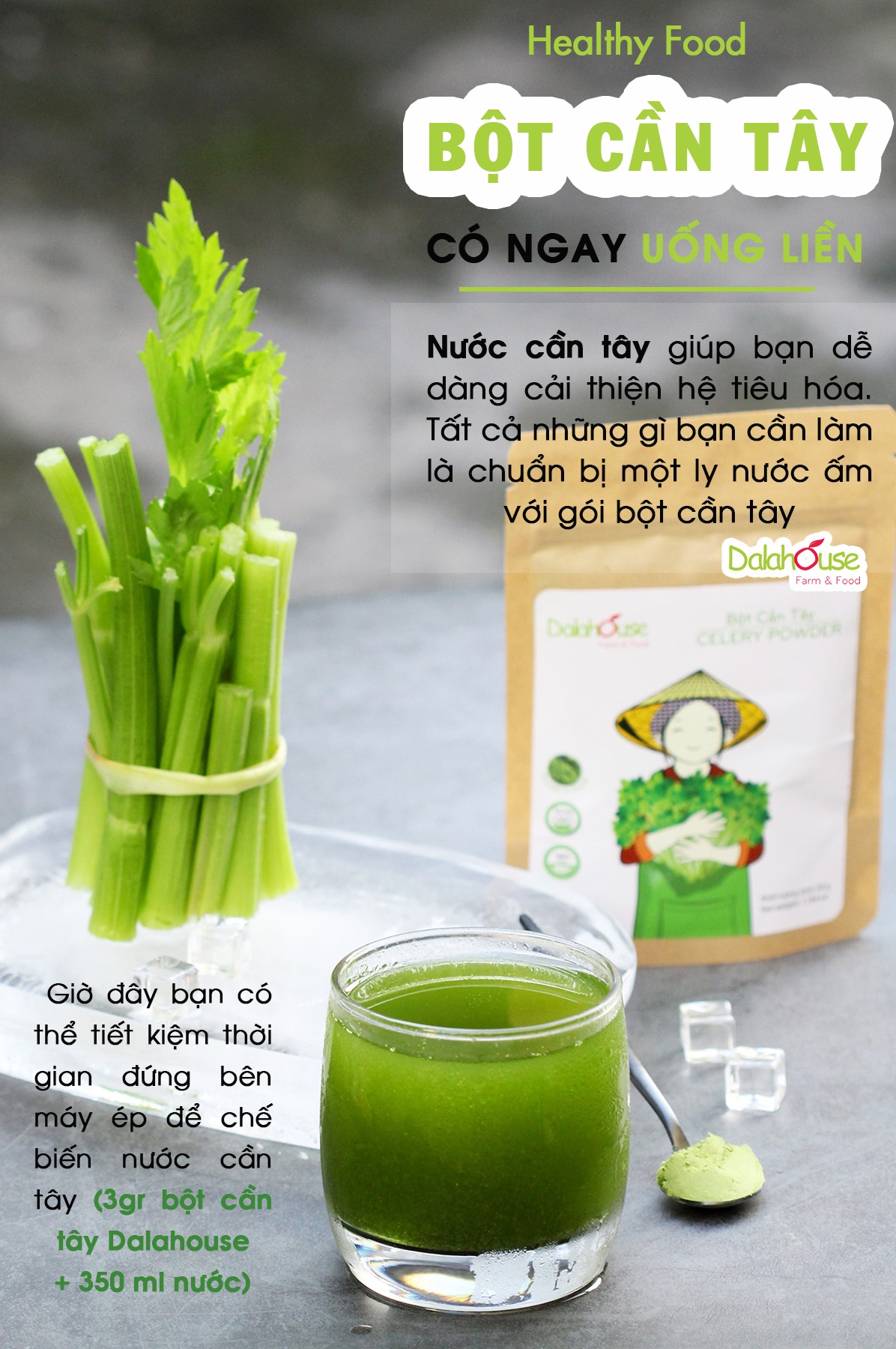 Bột Cần Tây Dalahouse - Công Nghệ Sấy Lạnh Nhật Giữ 90% Dinh Dưỡng Rau Tươi Theo Tiêu Chuẩn FDA Hoa Kỳ- 100% Fresh Natural Celery Powder (NPP Anni)