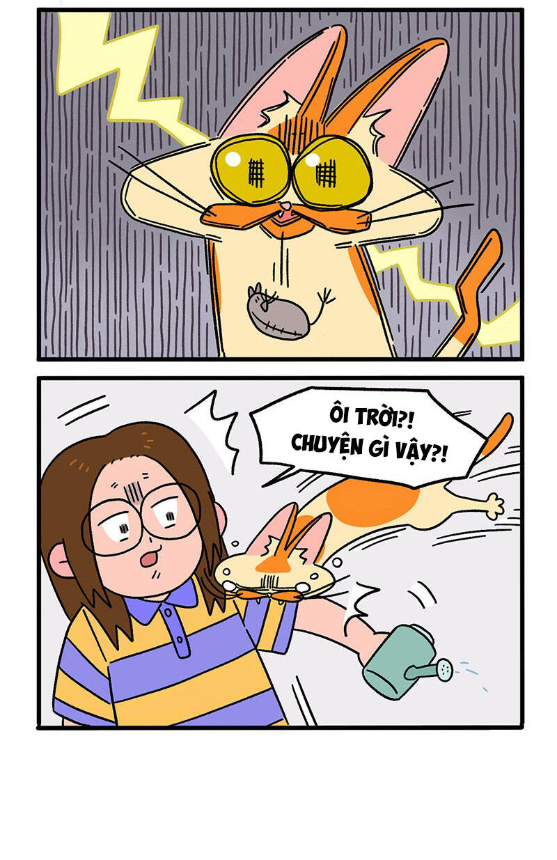 a mãn và mạch trà chapter 29 6