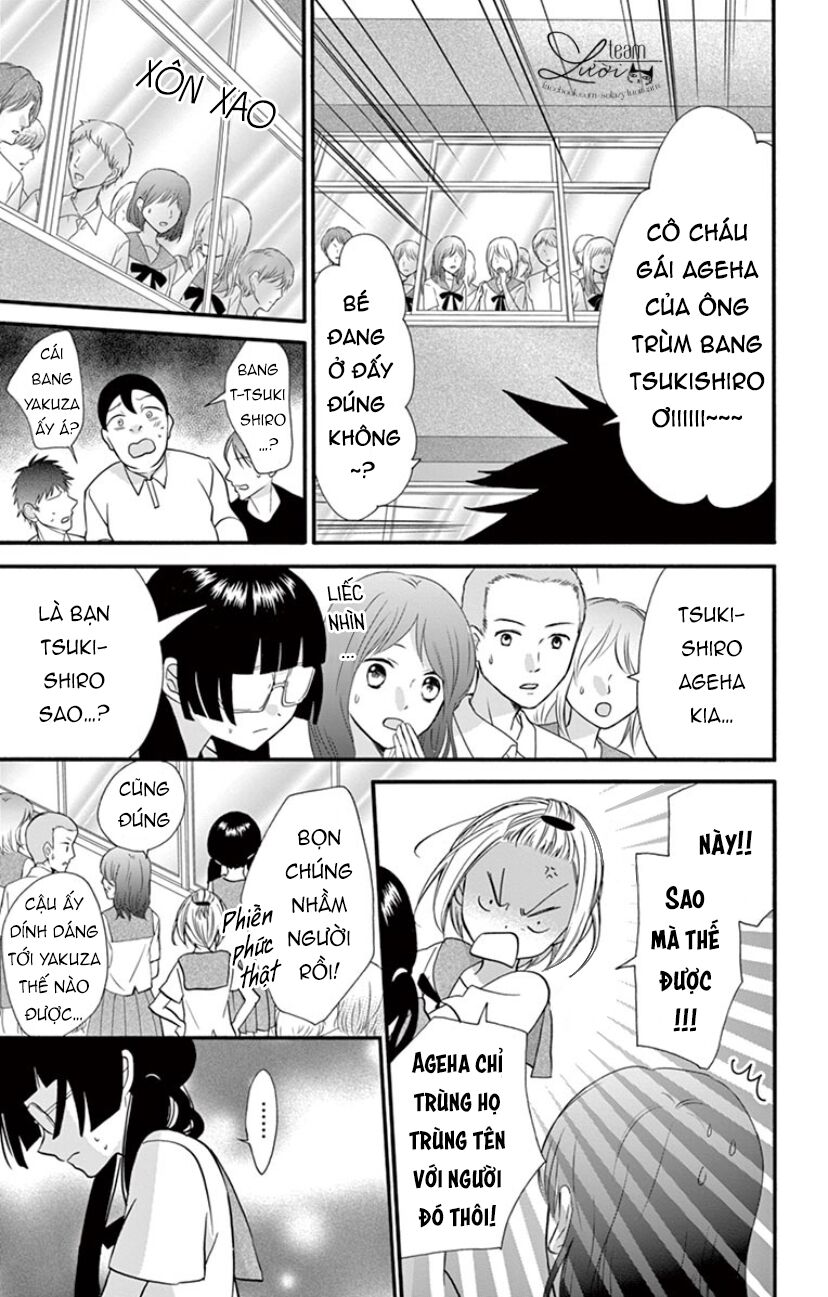 chàng rể giả nhân giả nghĩa chapter 17 20