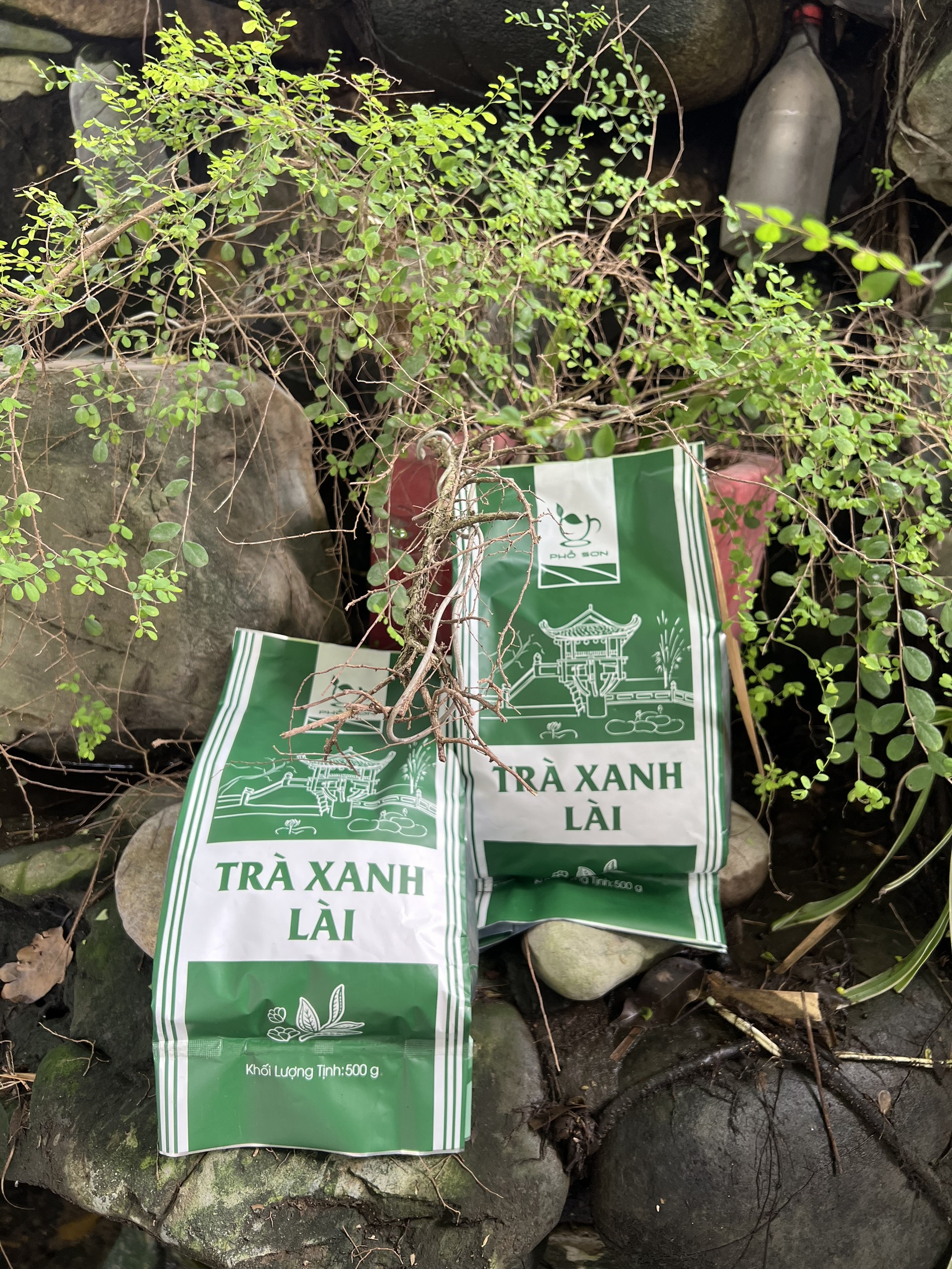 Trà Xanh Lài Phổ Sơn 500gr