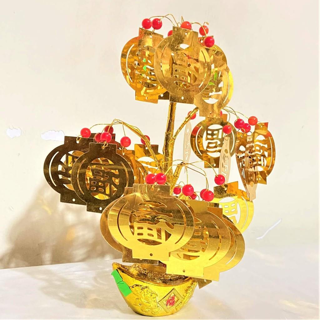 Cây Kim Tiền Chiêu Tài Lộc Trang Trí