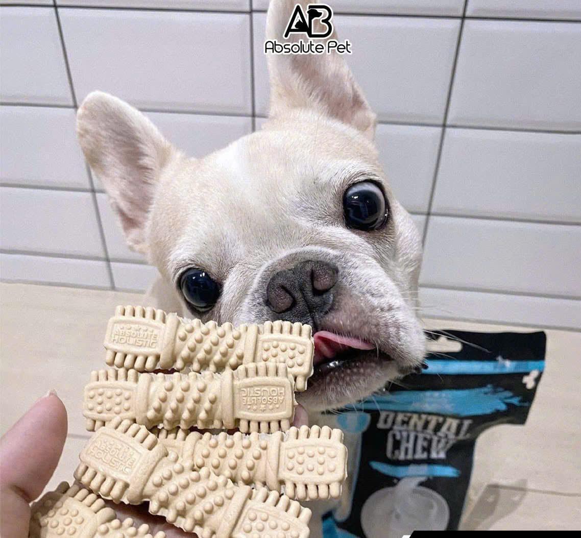 Thanh gặm sạch răng thơm miệng cho chó ABSOLUTE HOLISTIC DENTAL CHEW PET